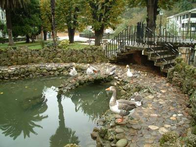 alojamientos,en Belmonte,alojamiento rural rurales,alojamientos,alojamiento rural rurales,Belmonte de miranda,